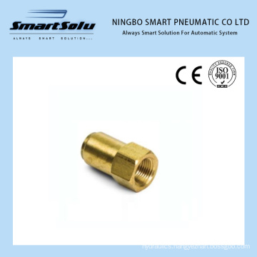 Copper Quick NPT Pipe Coupler Pneumatic Brass DOT Push-in Fittings Female Connector